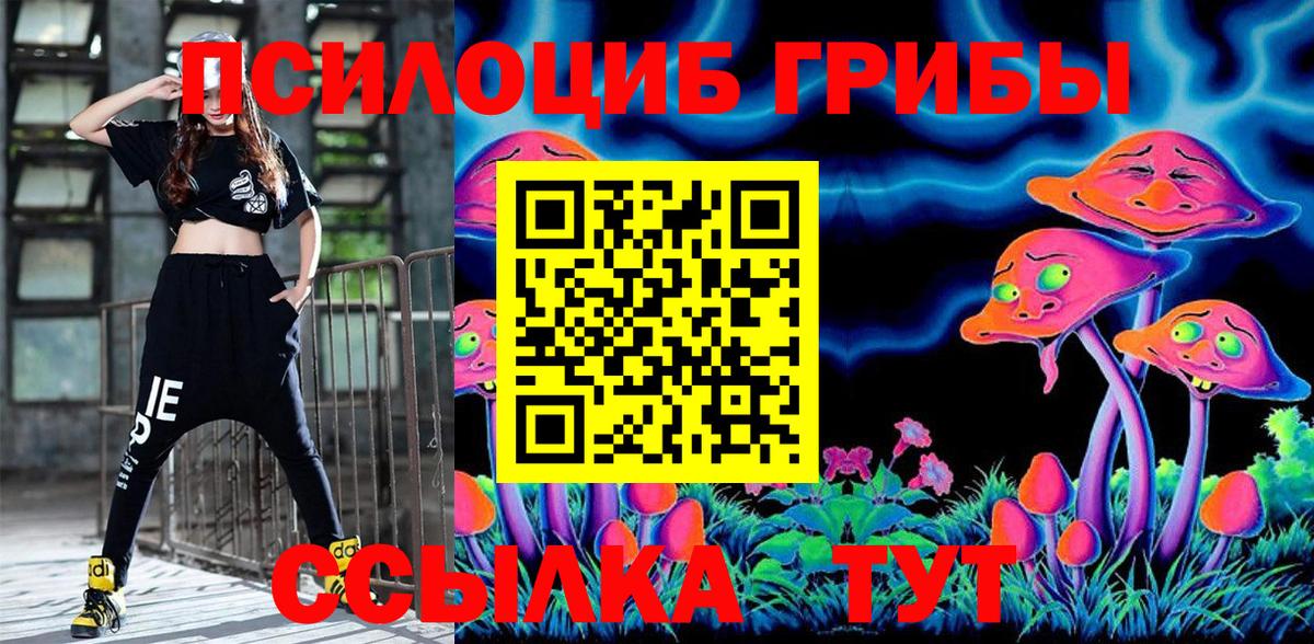 Псилоцибиновые грибы Cubensis  Галлюциногенные грибы прущие грибы  Вход с VPN  Сыктывкар 